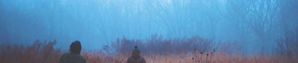 レンタルサーバー紹介サイト